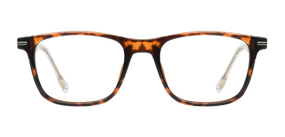 Brown_Demi_with_Black
