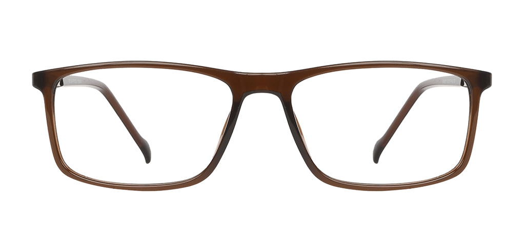 Brown_with_Silver