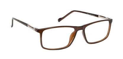 Brown_with_Silver