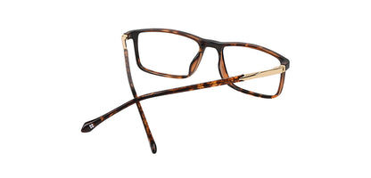 Brown_Demi_with_Gold