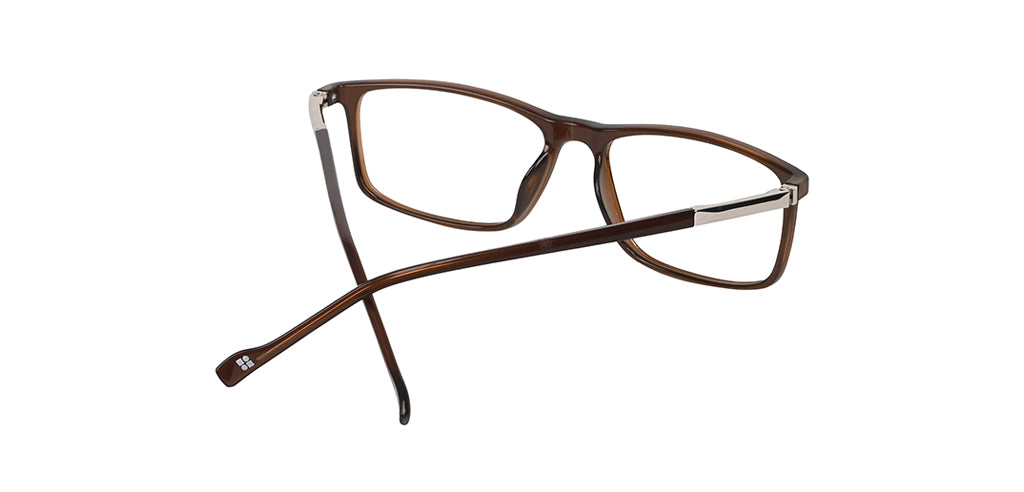 Brown_with_Silver