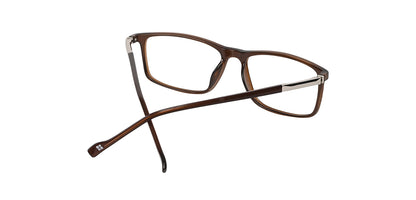 Brown_with_Silver