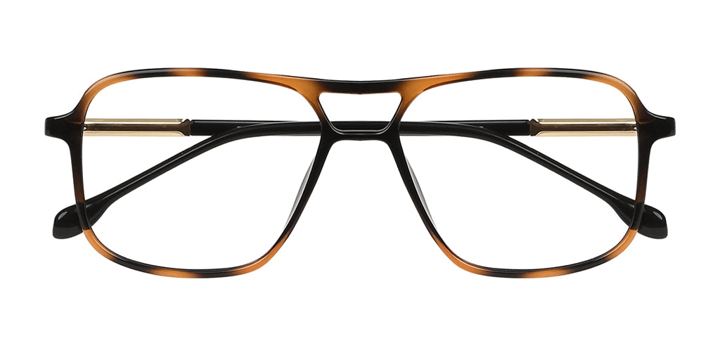 Brown_Demi_with_Gold