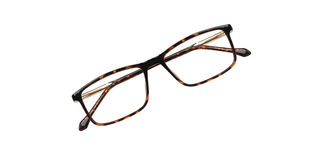 Brown_Demi_with_Gold