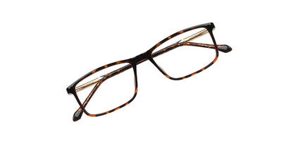 Brown_Demi_with_Gold