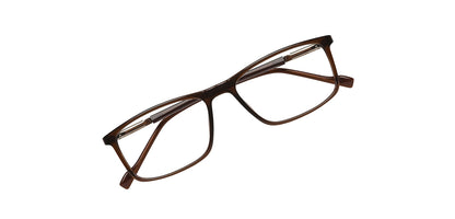 Brown_with_Silver