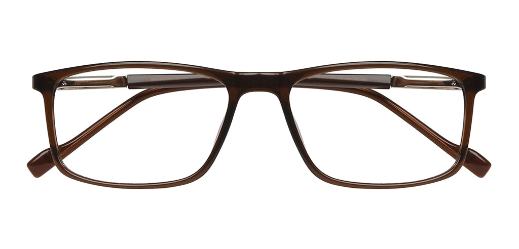 Brown_with_Silver