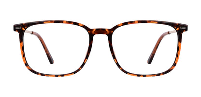 Brown_Demi_with_Gold