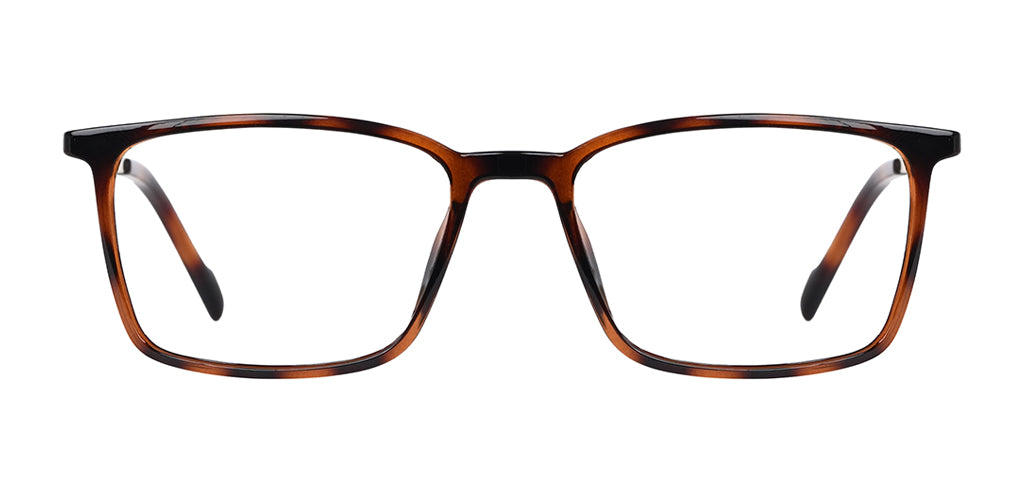 Brown_Demi_with_Gold