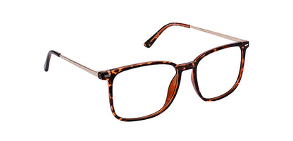 Brown_Demi_with_Gold