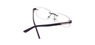 Purple_with_Purple