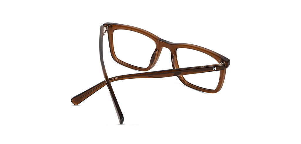 Brown_Transparent_with_Brown
