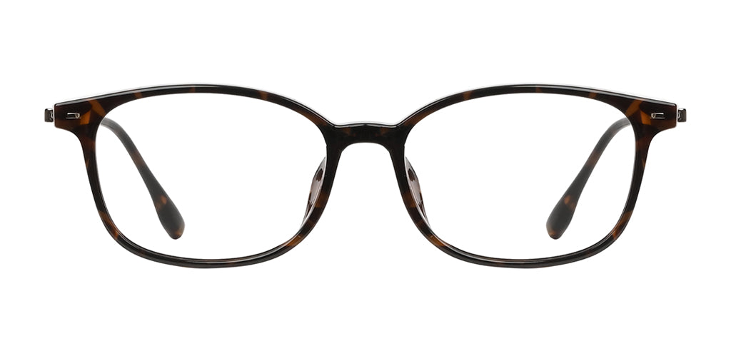 Brown_Demi_with_Brown