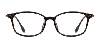 Brown_Demi_with_Brown