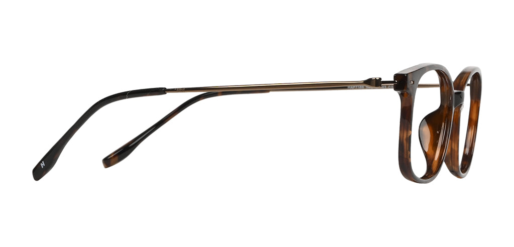 Brown_Demi_with_Brown