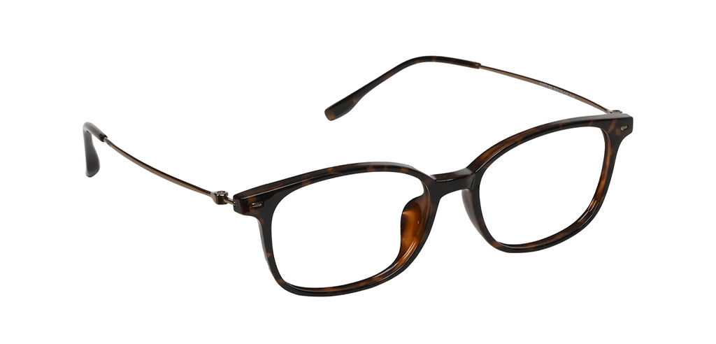 Brown_Demi_with_Brown