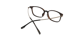 Brown_Demi_with_Brown