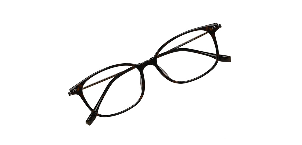 Brown_Demi_with_Brown