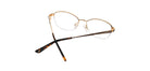 Brown_with_Brown