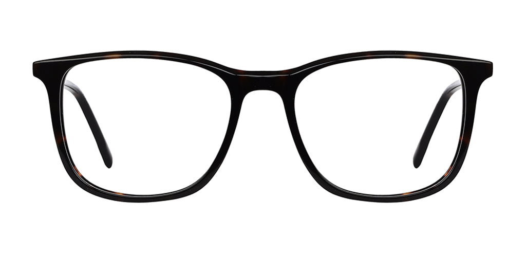 Brown_Demi_with_Gunmetal