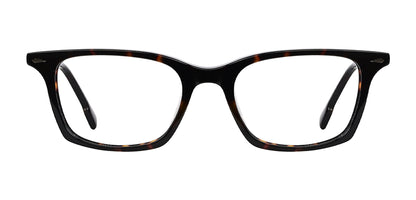 Brown_Demi_with_Gunmetal
