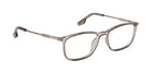 Grey_Transparent_with_Gold