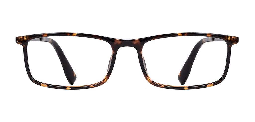Brown_Demi_with_Gunmetal
