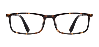 Brown_Demi_with_Gunmetal