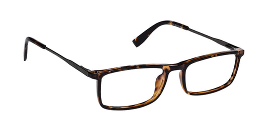 Brown_Demi_with_Gunmetal