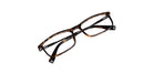 Brown_Demi_with_Gunmetal