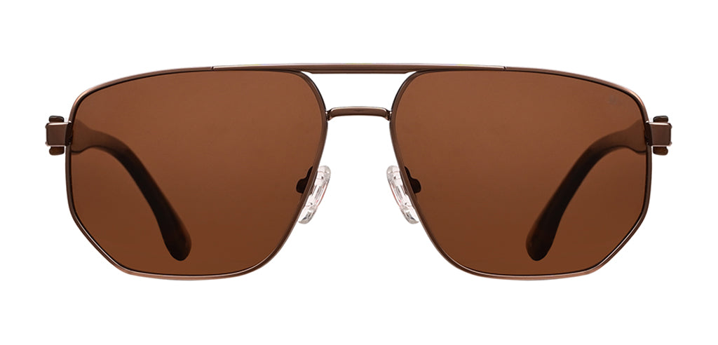 Brown_with_Brown