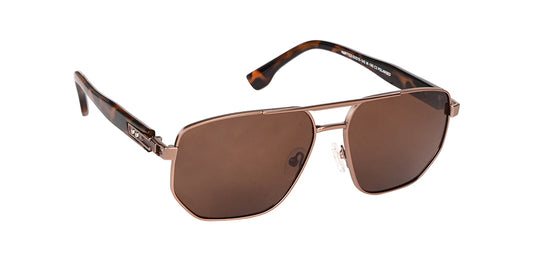 Brown_with_Brown