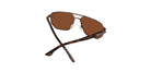 Brown_with_Brown