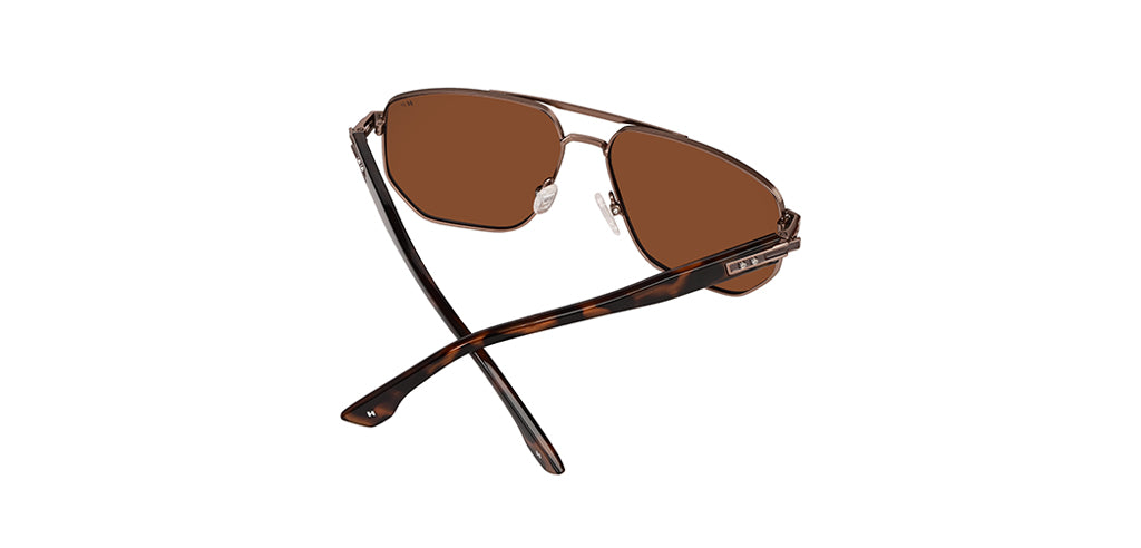 Brown_with_Brown