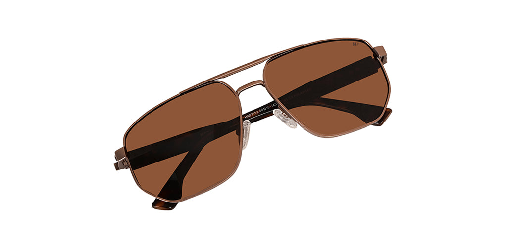 Brown_with_Brown