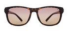 Brown_Demi_with_Brown