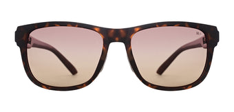 Brown_Demi_with_Brown