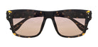 Brown_Demi_with_Brown