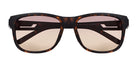 Brown_Demi_with_Brown
