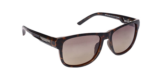 Brown_Demi_with_Brown