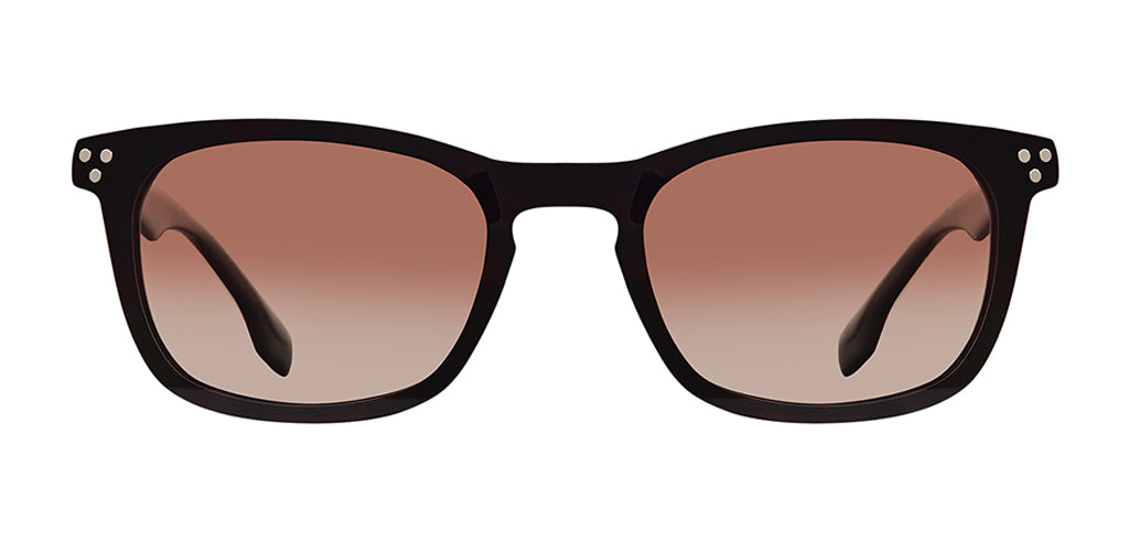 Brown_Demi_with_Brown