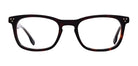 Brown_Demi_with_Brown
