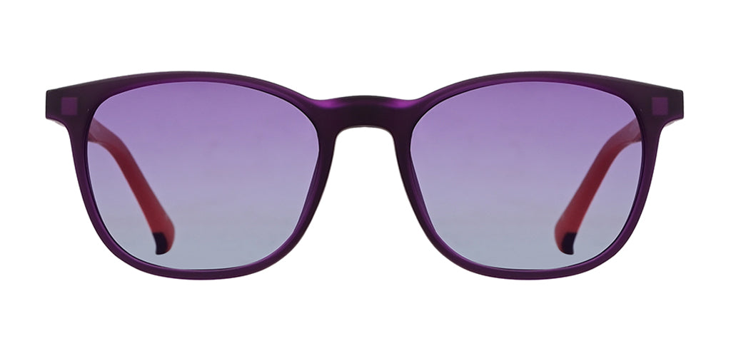 Purple_Matte_with_Purple