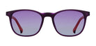 Purple_Matte_with_Purple