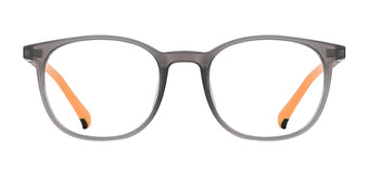 Grey_with_Black