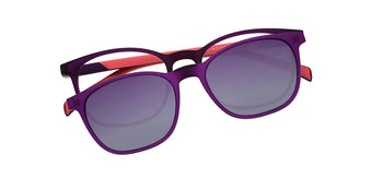 Purple_Matte_with_Purple