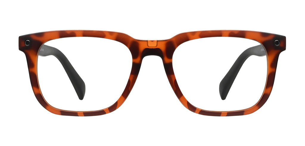 Brown_Demi_with_Black