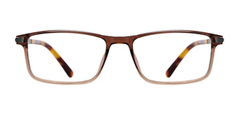 Brown_Gradal_with_Silver