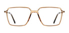 Brown_Transparent_with_Silver