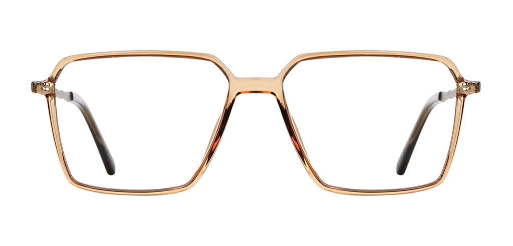Brown_Transparent_with_Silver